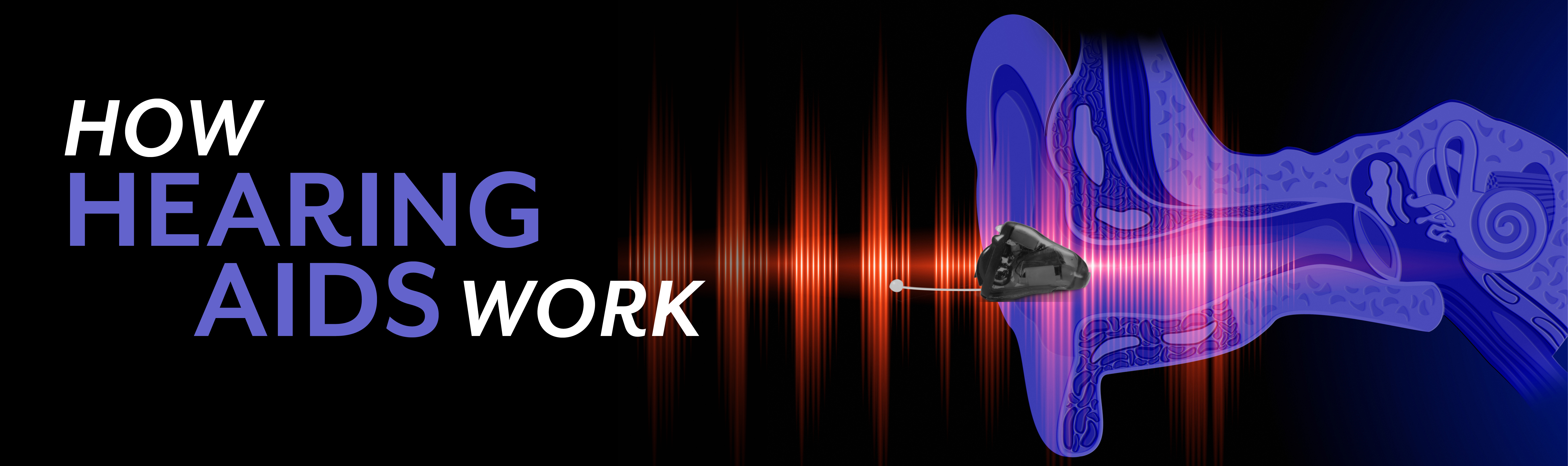 How hearing aids in Traverse City work